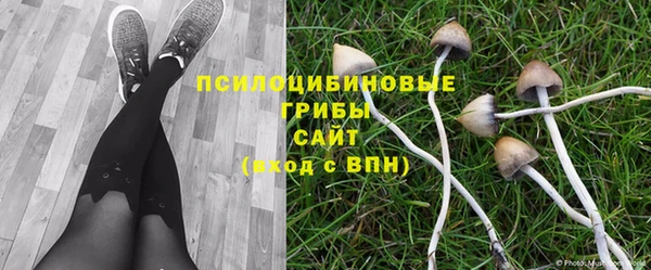 кокаин колумбия Дмитров
