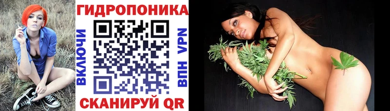 Купить где  Нарьян-Мар  Бошки Шишки гибрид 
